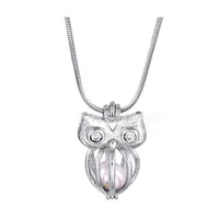 Charms 18Kgp Owl With Shiny Jewel Eyes Cages Lockets Wish Pearl  Gem Beads Pendants Mountings For Diy Fashion Lovely Cute Jewelry Dr Ot1Tr