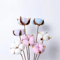 Decorative Flowers & Wreaths Home Decoration Natural Dry Flower Cotton Branches 6 Stems Artificial