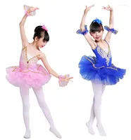 Stage Wear 2023 Pink/blue/White/Sky Blue Girl Ballet Tutu Dress Swan Lake Costume Ballerina Clothes Children Dance Dressrs