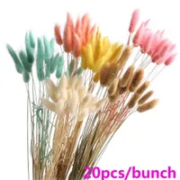 Faux Floral Greenery 20pcs Cake Decor Natural Dried Flowers White Artificial Flowers Colorful Fake Rabbit Tail Grass Bouquet Long Bunches T230130