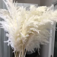 Decorative Flowers Pack Of 10 White Color Large Size Real Dried Pampas Grass Wedding Decor Flower Bunch Natural Plants Home Fall