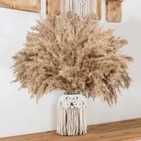 Faux Floral Greenery 30pcs Natural Pampas Grass Bouquet Dried Flowers Real Reed Wedding Decoration Christmas Flores Artificial Flowers Home Decor T230130