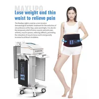 2 In 1 Non Invasive Lipolaser Belt Slimming Machine Infrared Red Light 650nm 940nm Arm Belt Mat Waist Pain Relief Therapy Pad With 1086pcs Germany Made Lights