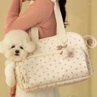 Dog Car Seat Covers Korean Travel Pet Bag Out Packing Backpack Single Shoulder Portable Messenger Cat