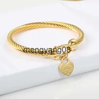Charm Bracelets Titanium Steel Bangle Cable Wire Gold Color Love Heart Charm Bangle Bracelet With Hook Closure For Women Men Wedding Jewelry Gifts1 T220131