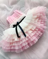 Girl Dresses Pink Princess Ball Gowns Rainbow Color Tiers Big Bottom Tulle Custom Girl's Birthday Dress
