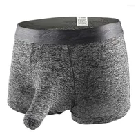 Wholesale Cheap Elephant Trunk Underwear - Buy in Bulk on