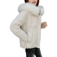 Kadınlar Sıcak Kış Paltosu Katı Kış Sonbahar Saf Maketler Ceket Ceket Palto Dış Giyim Kadınsı Sokak Giyim Gündelik1301H