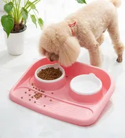 Pet Spatter Slip Resistant Dog Double Drinking Water Food Dual Purpose Environmentallyfriendly Plastic Cat Bowl Y2009173197565
