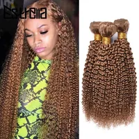 Wig Caps Kinky Curly Brazilian Human Hair Bundles Remy 100 Human Hair Weave Bundles 134 Pcs Curly Bundles 27 Color Hair Extensions
