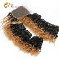 Wig Caps Brazilian Kinky Curly Bundles With Closure Ombre Curly Human Hair Bundles Colored T1b 30 27 Human Hair Bundles With 44 Lace