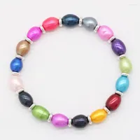Strand Rainbow Grade Freshwater 7-8mm Pearl and Argentate Spacer Bracelet Christmas Red Green Pink Lrist Jewelry PB012
