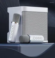 Combination Speakers YS203 Speaker Microphone Set Home Singing Equipment Wireless Bluetooth KTV Karaoke Machine Voice Changer7545685