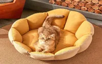 Dog Kennels Accessories Cat Litter Cute Cushion Convertible Sofa Accessories AntiStress Bed Puppy Sleeping Mat Elastic Kennel Ite2678706