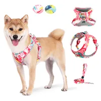 Cat Collars 리드 Koye Dog Harness Leash Set Small Dogs 조정 가능한 강아지 조끼 야외 걷기 리드 230309