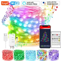 Светодиодные полоски Tuya Led Smart Strip Light 10M 66LEDS Wi -Fi Fairy String Lights RGB RGBIC USB -стрип