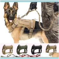 Tag ID Card pour animaux de compagnie Fourniture Gardentactique militaire K9 Vêtements de travail Faire la laisse Set MOLLE DOG VILET pour les grands chiens moyens 2925