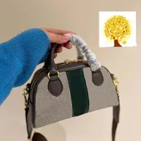 2023 Классическая сумка для путешественников мини -сумочка мода мода женщина на плечах моно подушка сумки сумочки поперечный комод