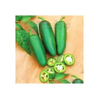 Autres fournitures de jardin 100 Jalapeno Chili Pepper Graines à croissance rapide Plant de légumes de maison la plupart Drop Dhcvf