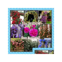 Other Garden Supplies Climbing Plants Chinese Flower Seeds Roses 1 Lot 270 Piece 9 Variety Flowering Drop Dhczx