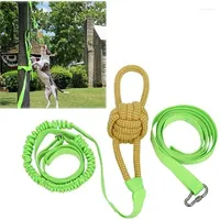 Colarinhos de cachorro mastigarem corda interativa Chew Toy Elastic Bungee Pet Supplies