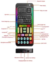 Voice Changers Mini Tragbarer Audio -Effekt Changer Bluetooth Compatible Live Sound Phone PC Tablet Lautsprecher Gerät 8 Änderungen Karaoke6238766