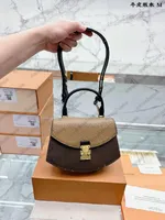 Tilsitt Brown Handtasche Damen Designer Luxurys Bag Geometrische gebogene Lüfterform Monogramme Reverse Canvas S-Lock Schulter-Tasche Buchstaben Griff Cross Body M46548