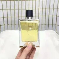 Fragrância de perfume para homens neutros terre edt 100ml spray de longa duração de colônia designer sexo luxo perufmes fragrância