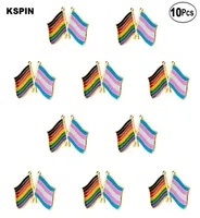 Rainbow Transgender Friendship Flag Lapel Pin Flag badge Brooch Pins Badges 10Pcs a Lot8184098