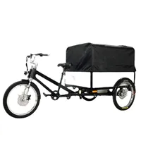 CE認定電気配達Trike Cargo Bike Electric Adult Tricycle 7ギアスピード三輪車販売