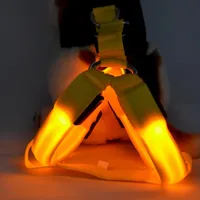 Safety Dog Pet Belt Harness Glow LED Flashing Light Leash Tether Colors light up dog harness pet supplies260c