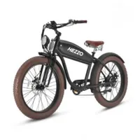 HEZZO 48v Electric Bike 750w Lithium Battery 13Ah Long Range Fast Speed Puncture Proof Tire Step Thru City Ebike SF-S004