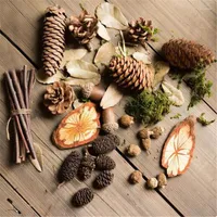 Decorative Flowers Artificial Plants Simulation Multi-type Natural Branches Acorn Fake Wood DIY Package Pography Props Decor Accessory