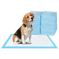 Appareils pour chiens couches de compagnie Puppy Trads d'entraînement pour chiens Small Lager Retriever Labrador Urine Diaper Cat 100pcs