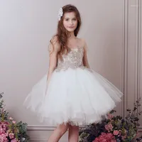 Girl Dresses 2-12y Girls Flower Dress Kids First Communion For Weddings Lace Perspective Baby Ball Gown Fluffy Costume