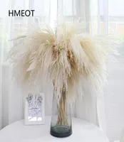 Pampas Grass Home Decor Reed Whisk Dried Flower Daisy Wedding Arrangement Christmas Plants Material Artificial Flowers 25pcslot 22292786