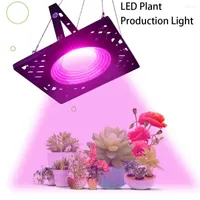 Grow Lights LED Light AC220V 240V Full Power Phytolamp For Plants Spectrum UV Lamp Plant Flower Seedling High Quality Growth