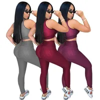 2020 Yoga Tracksuits for Women Sleeveless Yoga Sport Track Suit with Tight Perspective Pullover Sexy Vests Pants Suits Clothing wi2363