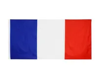 50pcs 90x150cm France Flag Polyester Printed European Banner Flags with 2 Brass Grommets for Hanging French National Flags and Ban4033011