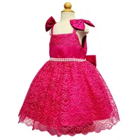 New children&#039;s clothes suspender embroidered princess skirt girl baby birthday party dress wholesale