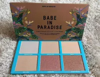 6 Color Highlighter Palette Babe In Paradise Highlight Powder Face Glow Makeup Illuminating Palettes Skin Pressed Bronzer Powder2247503