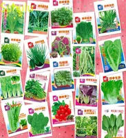 22 Kinds Original Vegetable Seeds Collection 2 Pack Type 2021 New Arrive Organic Plant NON GMO for Courtyard Patio Lawn Ga7267837