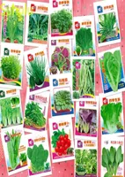 22 Kinds Original Vegetable Seeds Collection 2 Pack Type 2021 New Arrive Organic Plant NON GMO for Courtyard Patio Lawn Ga8667852