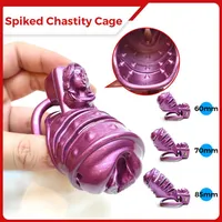 Spiked BDSM Cock Cage Pussy Vaginal Chastity Devices Male Bondage Slave Penis Ring sexy Shop 18 Gay Ladyboy Toy for Men249E