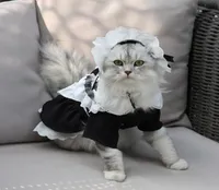 Cat Costumes Cat maid outfit spring and summer cos uniform transformed into cat clothes pet skirt dog clothes supplies 2209087154140