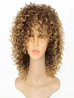 15インチAfro Kinky Curly Synthetic Wigs Hightemperature Fiber Pelucas Simulation Human Hair Wig Kit WS642M6275678