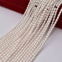 Other Shell Pearl 3mm Imitation MilletShaped White Pearl DIY Jewelry SemiFinished Product Making Material Rice Bead Necklace 230325
