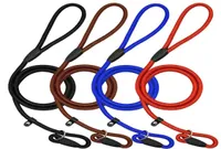 Pet Dog Nylon Rope Training Leash Slip Lead Strap Adjustable Traction Collar Pet Animals Rope Supplies Accessories 130cm6734705