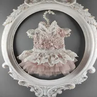 handmade dog apparel peachy beige stand collar cutwork lace pearl flowers Pet clothes cheongsam wedding dress3457