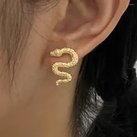 Stud Earrings Fashion Punk Style Snake Gold Color Personality Earings For Women Vintage Animal Brincos Female Jewelry Gift